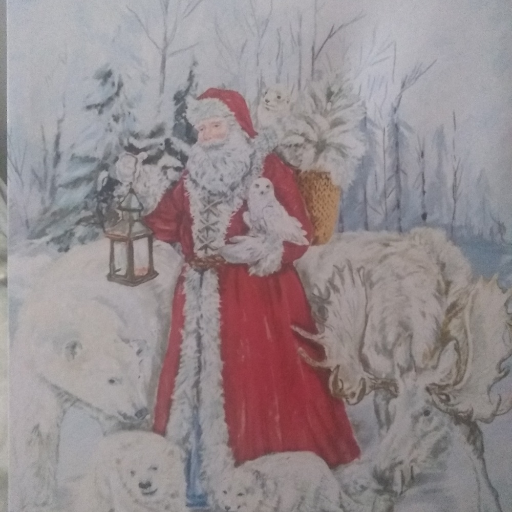 Santa picture